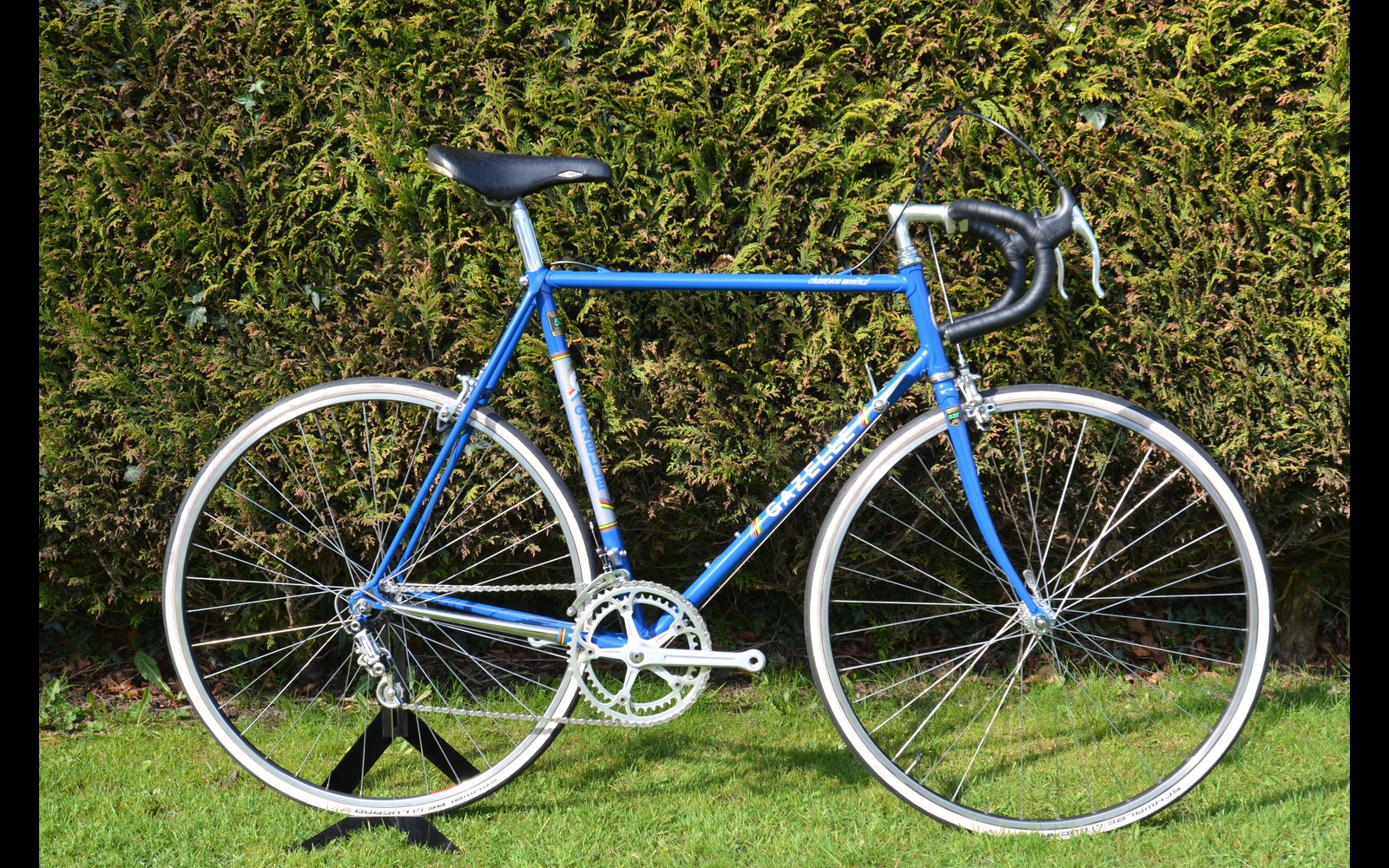 vintage gazelle bike