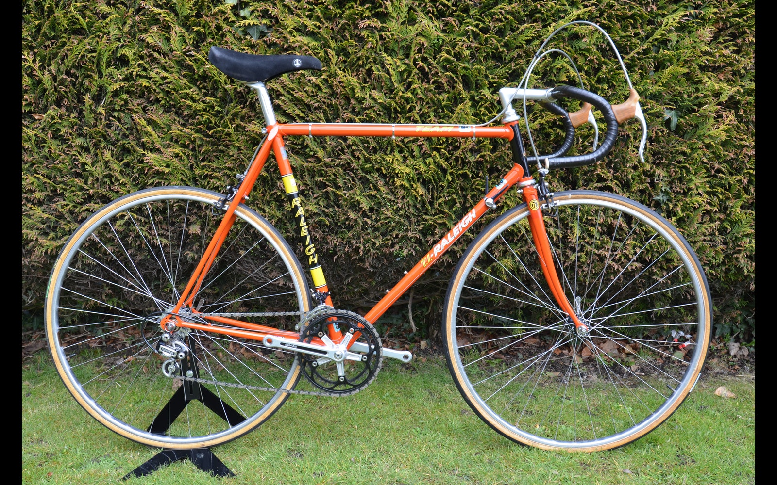 raleigh ti bike